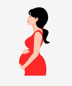 Pngtree Pregnant Women Free Of Png Material Image 1322852 1 247x296